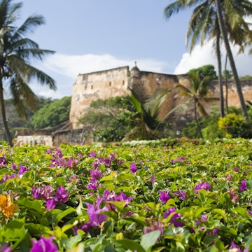 Pink flowers against a tropical backdrop of palm tress and Fort Jesus in old town Mombasa, Kenya
